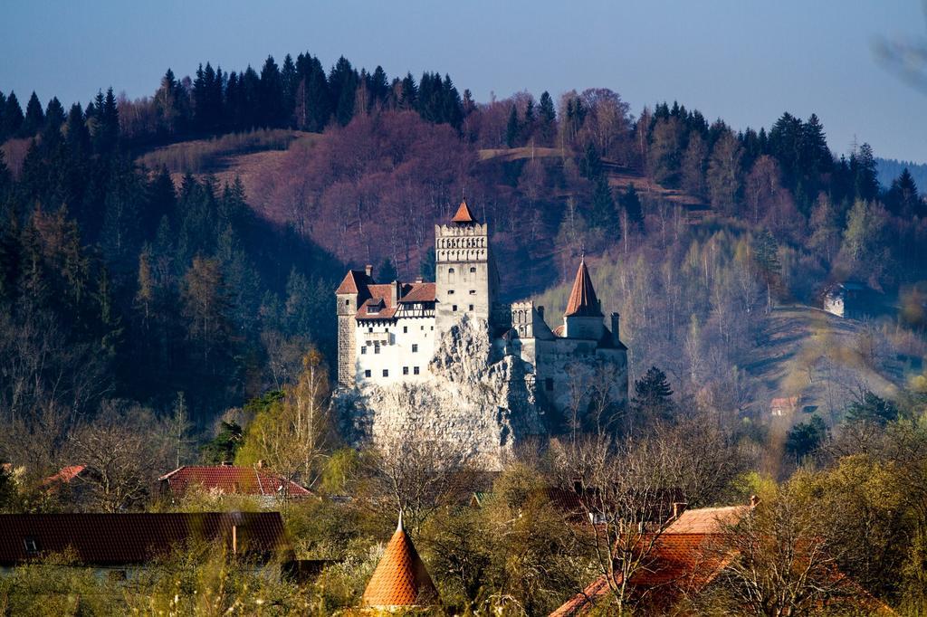 Pensiunea Gentiana Bran  Esterno foto